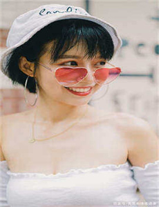 新杨门女将电视剧